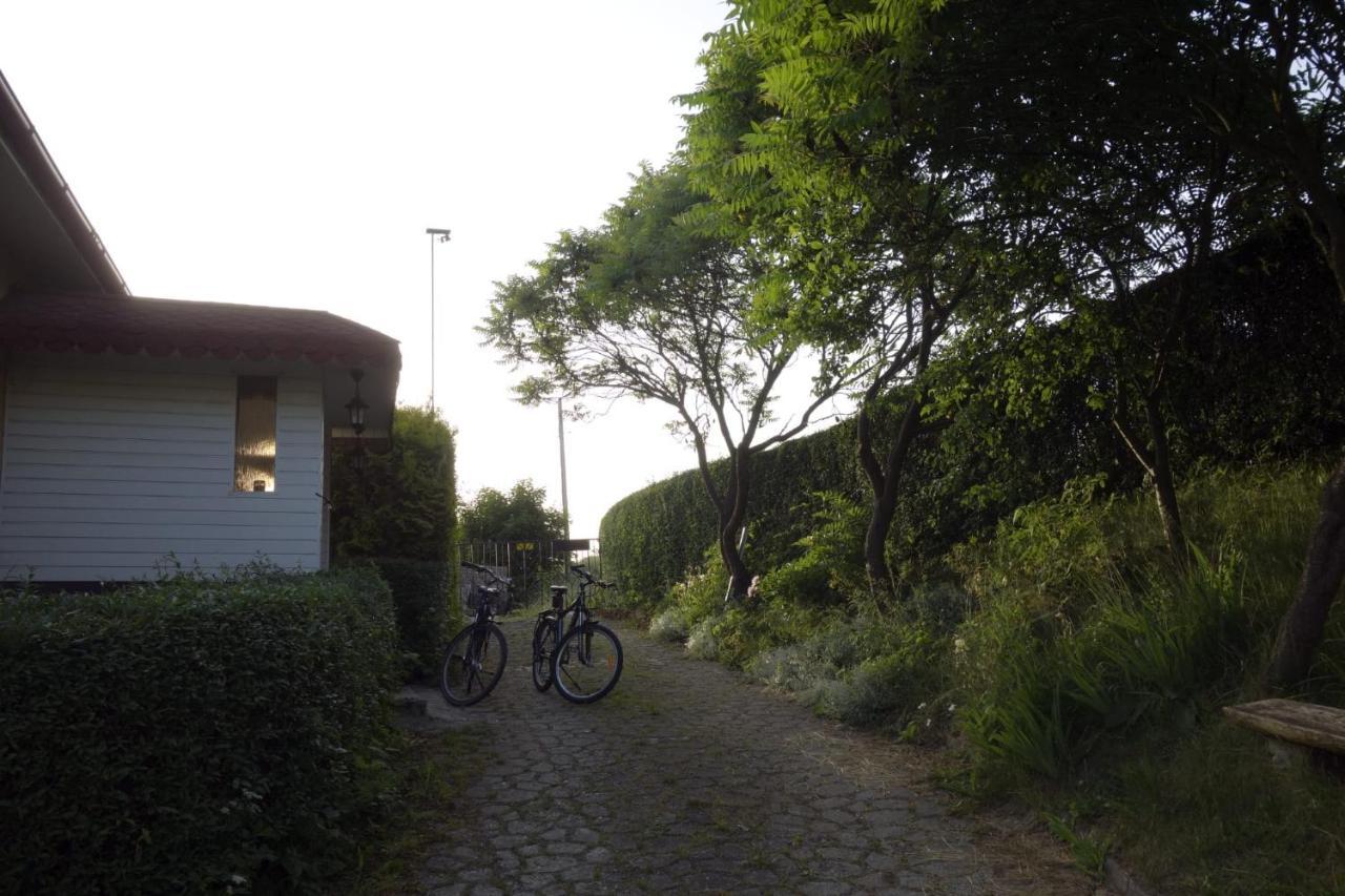 Apartamento U Zbyszka Kamienna Gora Exterior foto