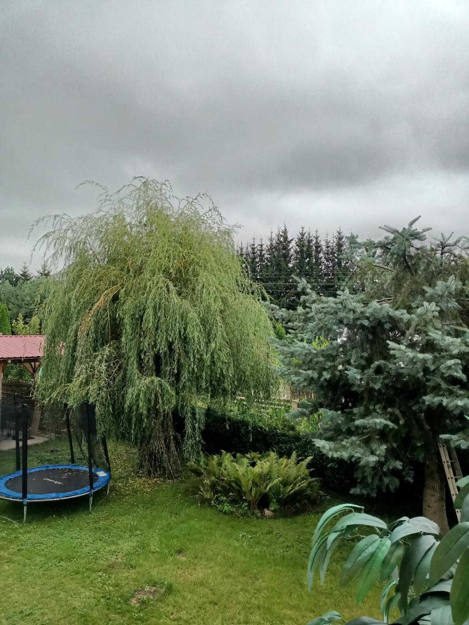Apartamento U Zbyszka Kamienna Gora Habitación foto